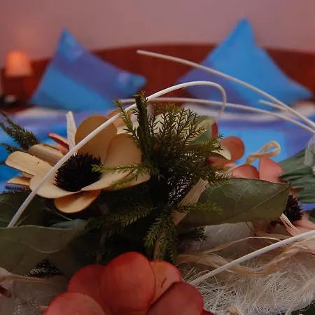 Cis 2* 슈비노우이스쳬